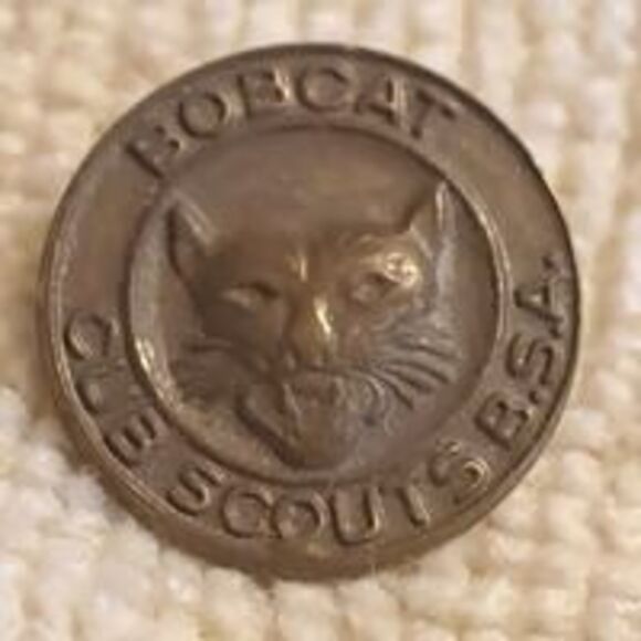 Vintage Bobcat BSA Boy Scouts Of America CUB SCOUT parent pin - Picture 1 of 2